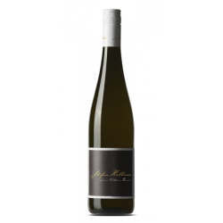 Grüner Veltliner Reserve 2022