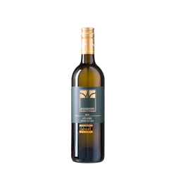 Alte Rebe Grüner Veltliner 2021